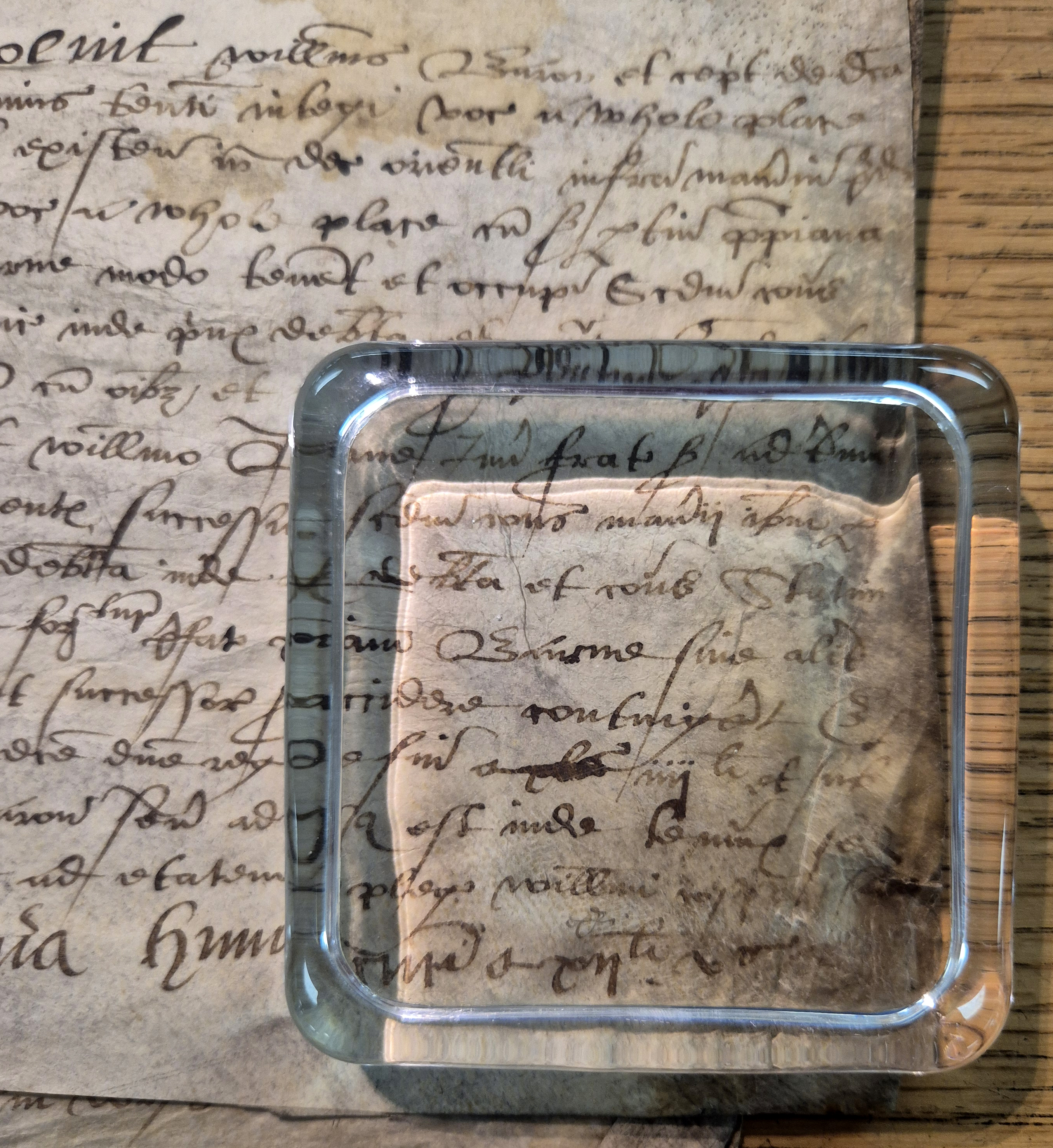 Fordington Manor Court Roll 1566 - Barnes Family