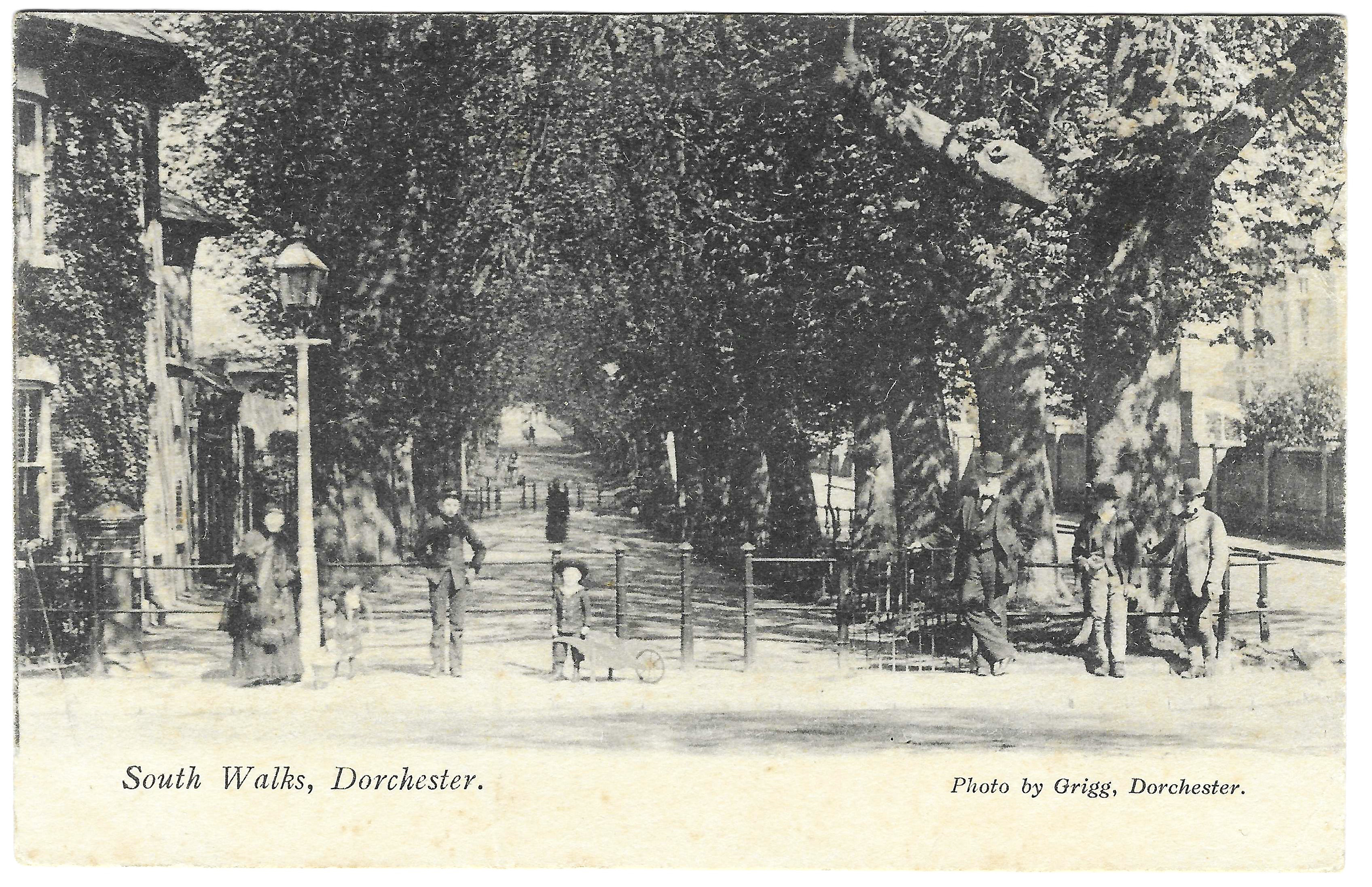 South Walks Dorchester